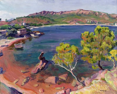 Midi Landscape (óleo sobre tela) de Albert Marquet