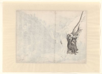 Esboço de uma árvore de Albert Meyering