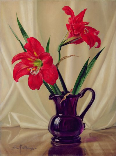 Amaryllis Lillies, em um jarro de vidro escuro de Albert Williams