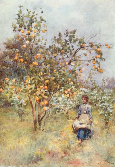 Lemon-Trees: Primavera de Alberto Pisa
