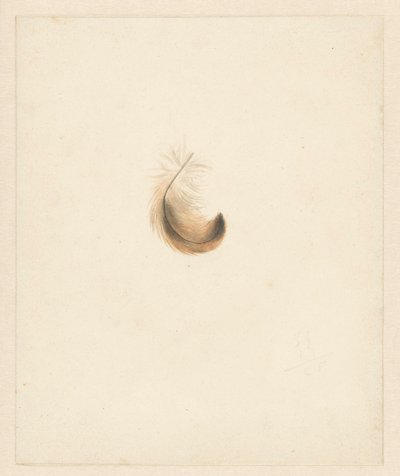 Estudo de uma pena de Albertus Steenbergen