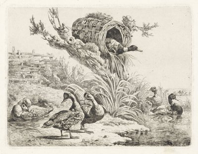 Patos à beira-mar de Albertus Verhoesen