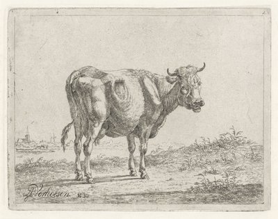 vaca em pé de Albertus Verhoesen