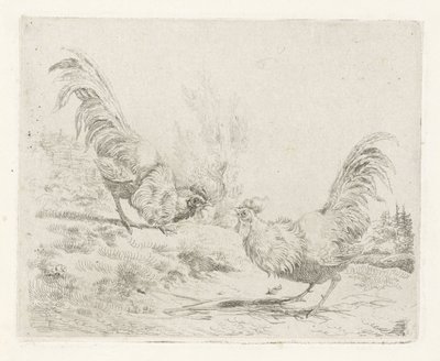 Dois galos lutadores de Albertus Verhoesen