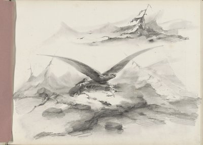 Águia a sobrevoar uma costa com montanhas de Albertus van Beest