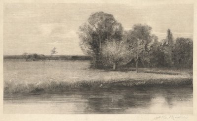 Um prado manchado de sol por um rio de Albion Bicknell