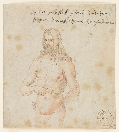 Autorretrato, doente, c.1506-07 (caneta castanha e aguarela) de Albrecht (attr. to) Durer or Duerer