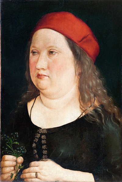 Babá desconhecida de Albrecht (attr. to) Durer or Duerer