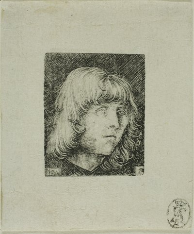 Cabeça de um jovem de Albrecht Altdorfer