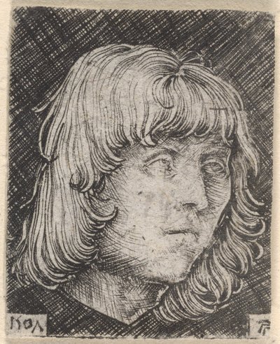 Cabeça de um jovem de Albrecht Altdorfer