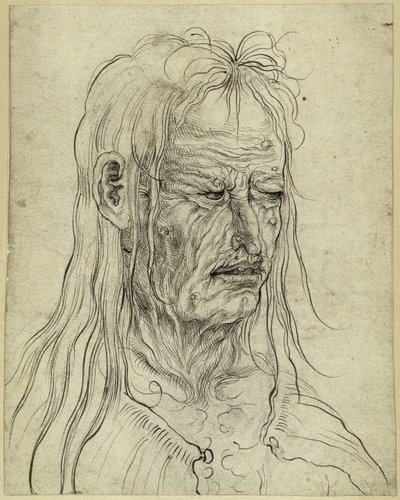 Cabeça de uma velha feia, virada para a direita de Albrecht Altdorfer