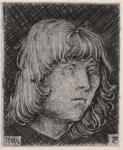 Cabeça de um jovem de Albrecht Altdorfer
