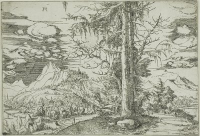 Paisagem com um abeto duplo de Albrecht Altdorfer