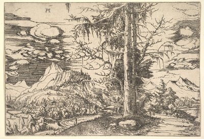 Paisagem com abeto vermelho duplo, ca. 1521-22. de Albrecht Altdorfer