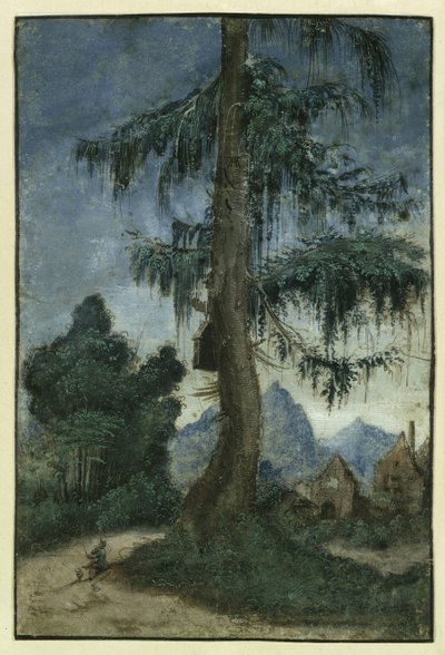 Paisagem com abeto, cerca de 1522. de Albrecht Altdorfer