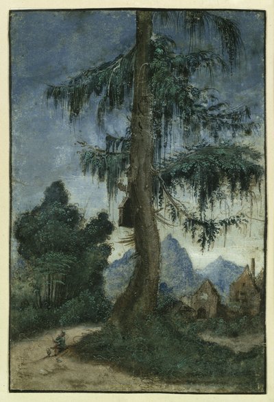 Paisagem com abetos de Albrecht Altdorfer