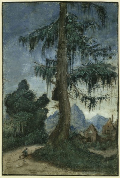 Paisagem com abetos de Albrecht Altdorfer