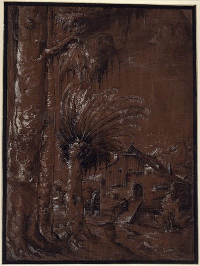 Paisagem com moinho de água de Albrecht Altdorfer