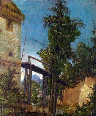 Paisagem com uma passarela de Albrecht Altdorfer