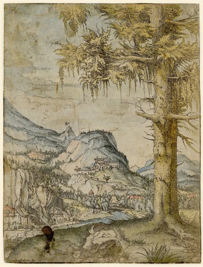Abeto grande, ca 1517-1520. de Albrecht Altdorfer