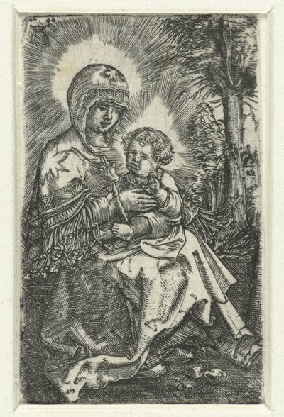 Maria conheceu o tipo em landschap
Bela Maria de Regensburg de Albrecht Altdorfer
