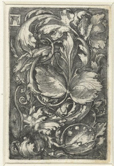 Ornamento com videiras folhosas de Albrecht Altdorfer