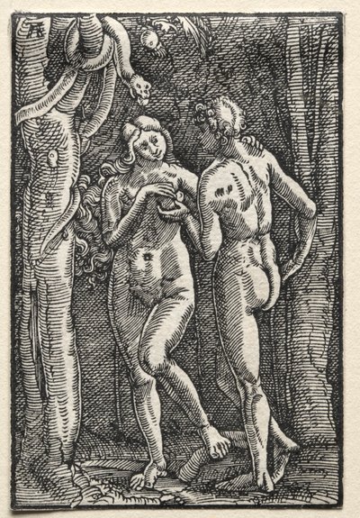 A Queda e Redenção do Homem: Adão e Eva Comendo o Fruto Proibido de Albrecht Altdorfer