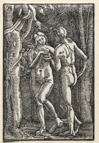 A queda e redenção do homem: Adão e Eva comendo o fruto proibido, c. 1515 de Albrecht Altdorfer
