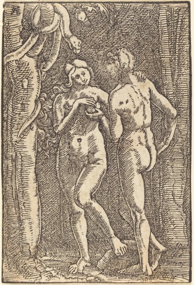 A queda do homem de Albrecht Altdorfer