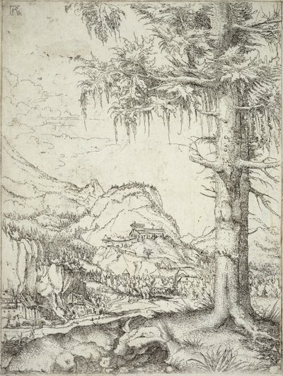 O grande abeto, c.1520 de Albrecht Altdorfer