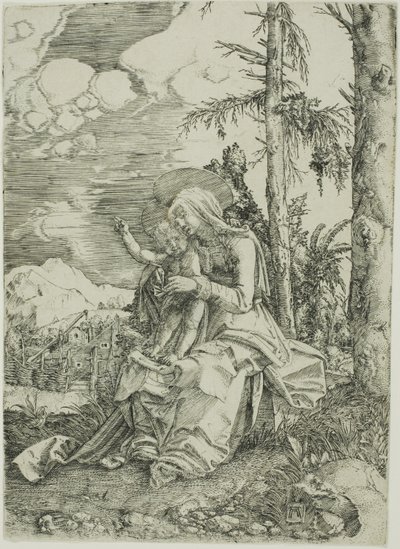 A Virgem com a criança abençoada em uma paisagem de Albrecht Altdorfer