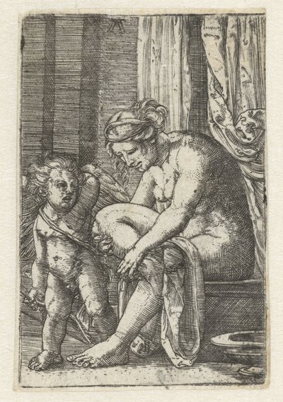 Vénus após o banho de Albrecht Altdorfer