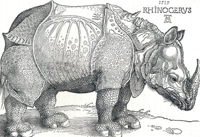 Um rinoceronte, 1515, 1906 de Albrecht Dürer