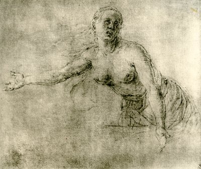 Um estudo, 1913 de Albrecht Dürer