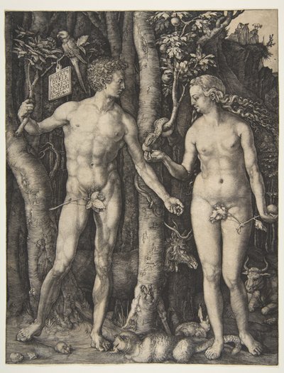  de Albrecht Dürer