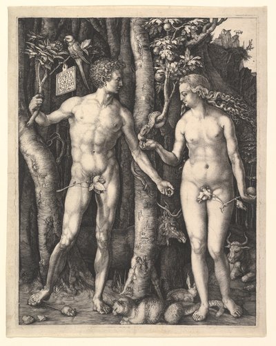  de Albrecht Dürer