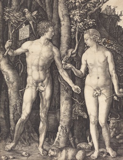 Adão e Eva, 1504. de Albrecht Dürer