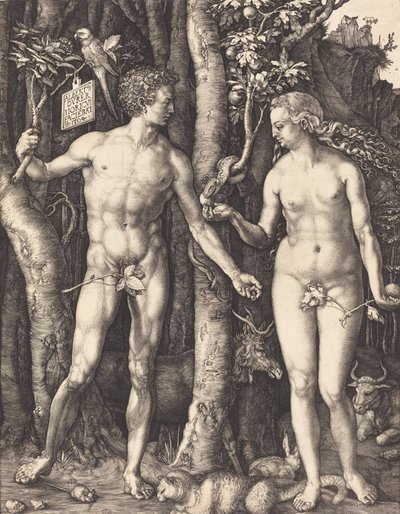 Adão e Eva, 1504. de Albrecht Dürer