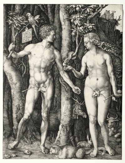 Adão e Eva, 1504. de Albrecht Dürer