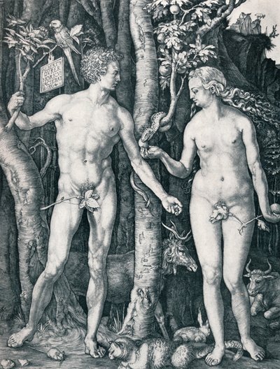Adão e Eva, 1504 1906 de Albrecht Dürer