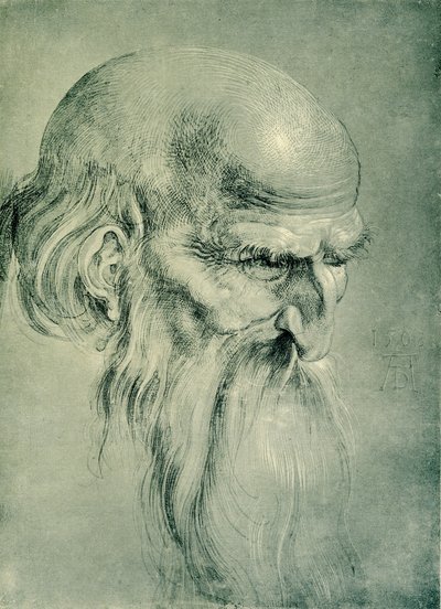 Cabeça de apóstolo de Albrecht Dürer