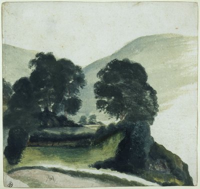 Grupo de árvores com caminho nas montanhas de Albrecht Dürer