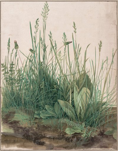 O grande gramado de Albrecht Dürer