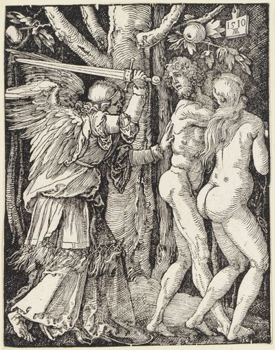  de Albrecht Dürer