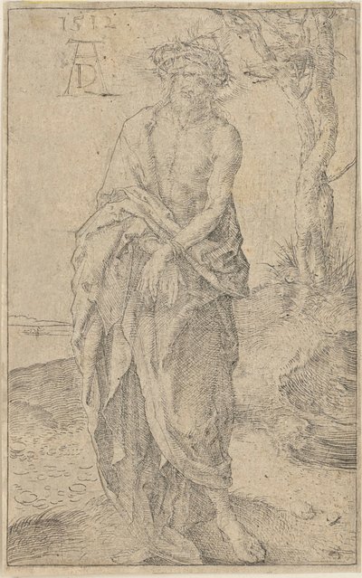  de Albrecht Dürer