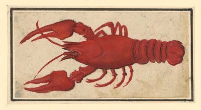 de Albrecht Dürer
