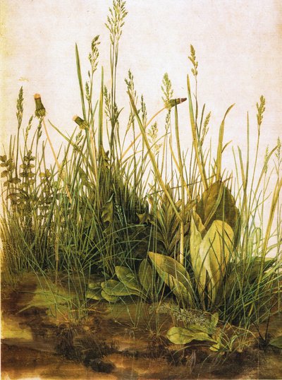 Alemão: Das große Rasenstück O grande pedaço de relva de Albrecht Dürer