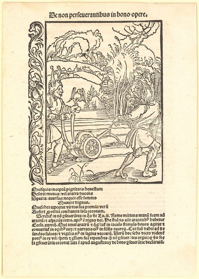 Desprezar bons conselhos de Albrecht Dürer