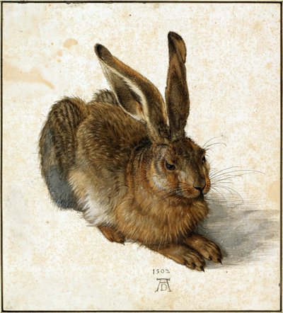Lebre (retocada) de Albrecht Dürer