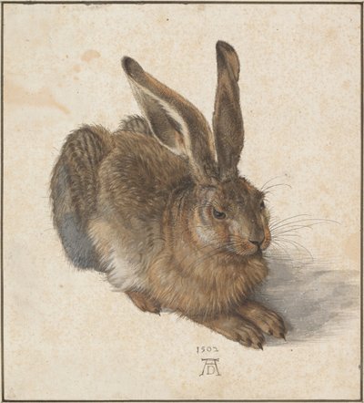 Hare, 1502 de Albrecht Dürer